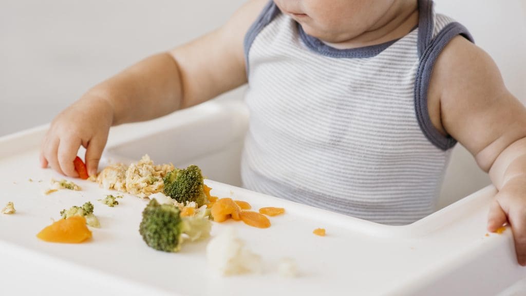 cute baby boy highchair choosing what eat